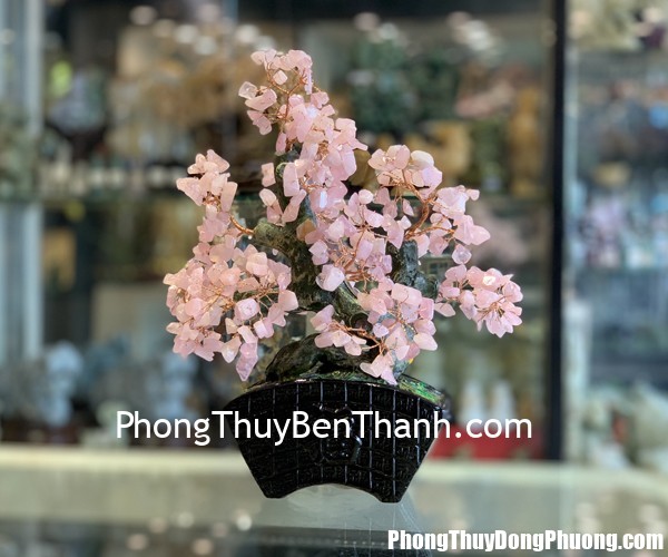 KC120 cay thach anh hong dang bonsai 3 Tử vi Phương Đông: Thứ tư 12/06/2019