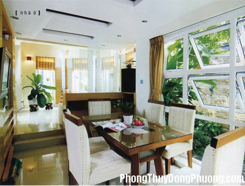 phong thuy nha o b90 nhung cay xanh thich hop voi phong an Chọn cây xanh cho phòng ăn