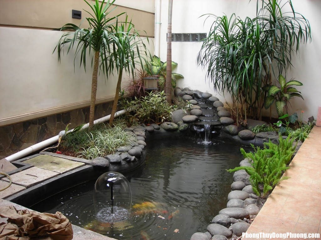 inspiring indoor garden design with pond Bài trí nước và cây hài hòa ngũ hành cho nhà ở