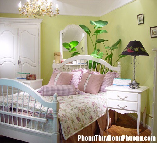 pt5 Đặt cây xanh trong phòng ngủ có gây hại gì không ?