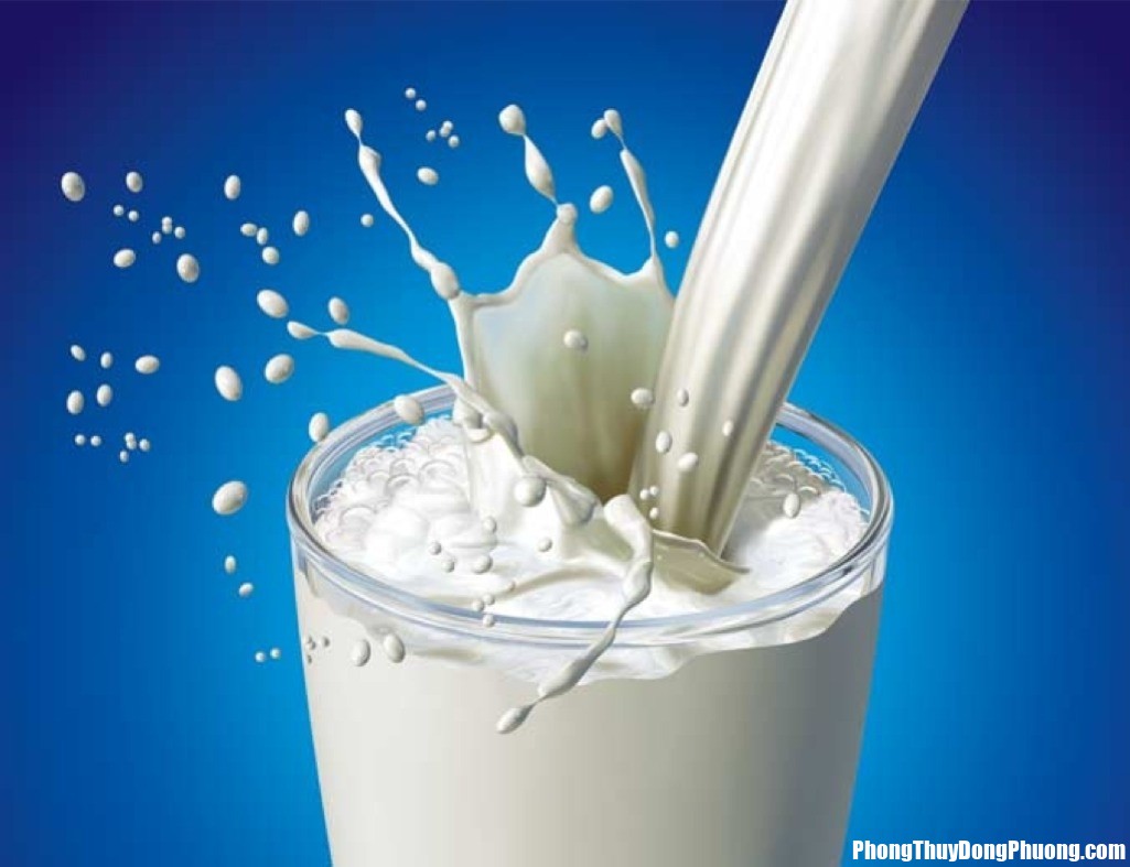 sua Giấc mơ thấy sữa và được uống sữa tươi báo hiệu điều gì cho bạn?