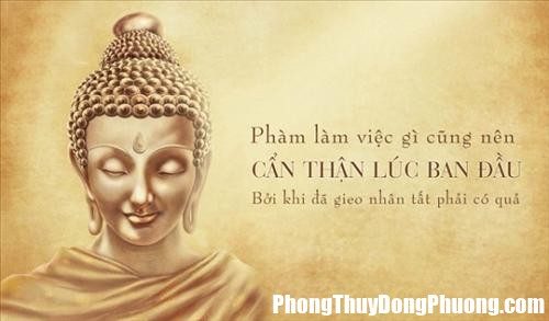 Cau chuyen ve luat nhan qua cua nguoi an may mu loa hinh anh Luật nhân quả hoàn toàn có thật và hiện hữu xung quanh ta