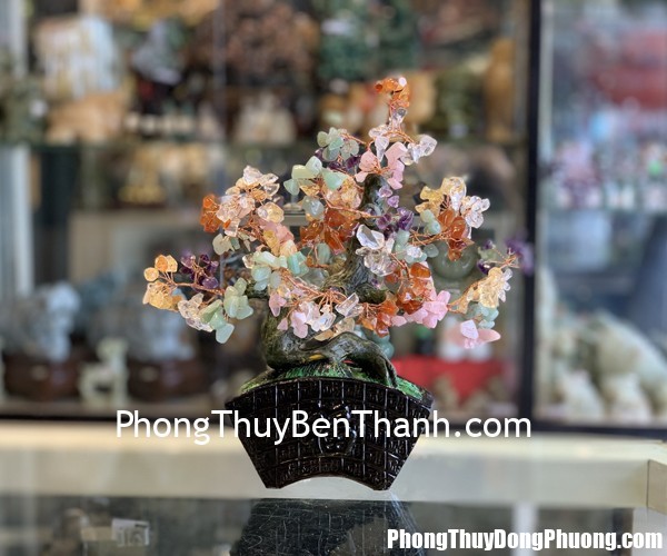KC117 cay luc sac dang bonsai Tử vi Phương Đông: Thứ sáu 11/01/2019
