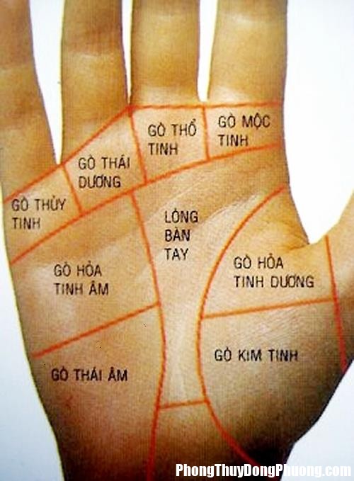 duong cong danh bat dau tu go thai am Những điều cần biết với đường công danh trên chỉ tay