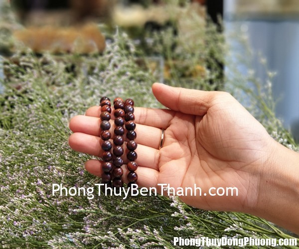 S6804 Chuoi mat meo rung 8 li 2 Tử vi Phương Đông: Thứ ba 07/05/2019