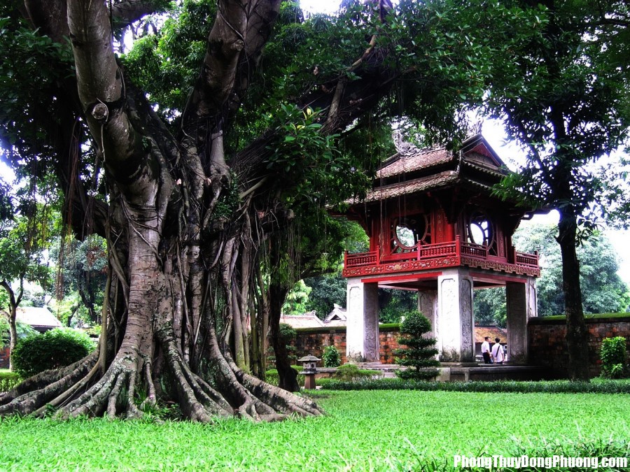 5 mon do dai hung cho dai gi ma nhat ve nha keo mang hoa Những món đồ đại hung, chớ dại gì mà nhặt đem về nhà kẻo mang hoạ