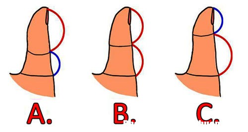 theo nhan tuong hoc nhung bo phan tren co the hay bat ky dac diem nao e8da16 Nhìn qua ngón cái là đoán chuẩn xác vận mệnh tính cách của một người