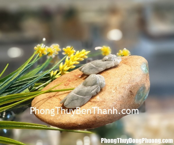 s6875 ve xanh ngat Tử vi Phương Đông: Thứ ba 02/07/2019