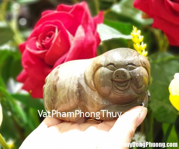 HTT01 6819 heo tam the 2 Tử vi Phương Đông: Thứ ba 12/11/2019