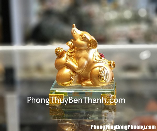 tm034 chuot vang tron ho lo 2 Tử vi Phương Đông: Thứ năm 12/12/2019