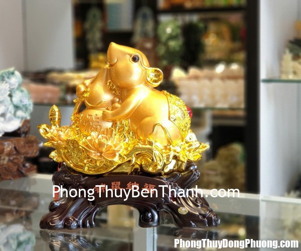 tm002 chuot vang mau don 2 Tử vi Phương Đông: Thứ năm 19/12/2019