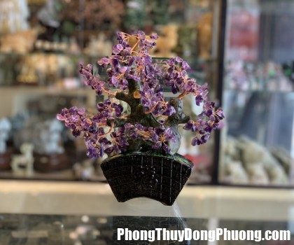 KC121 cay thach anh tim dang bonsai 2 420x350 Tử vi Phương Đông: Thứ năm 05/01/2023