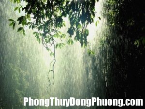 Mơ thấy trời mưa có điềm báo gì trong tương lai? | Phong Thủy Đông Phương - Phong Thủy Nhà Ở và Đời Sống Việt Nam